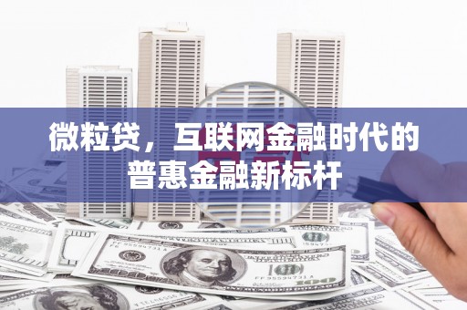 宁明微粒贷，互联网金融时代的普惠金融新标杆