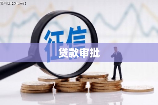 宁明贷款审批