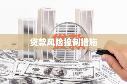 宁明贷款风险控制措施