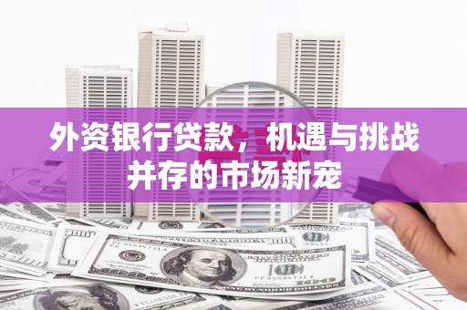 宁明外资银行贷款，机遇与挑战并存的市场新宠