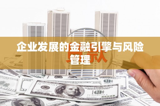 宁明企业发展的金融引擎与风险管理