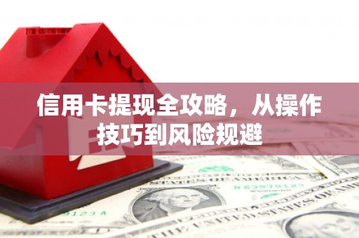 宁明信用卡提现全攻略，从操作技巧到风险规避