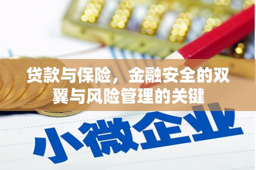 宁明贷款与保险，金融安全的双翼与风险管理的关键