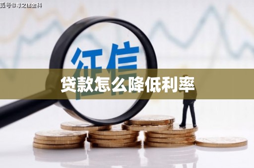 宁明贷款怎么降低利率