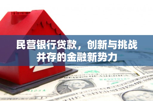 宁明民营银行贷款，创新与挑战并存的金融新势力