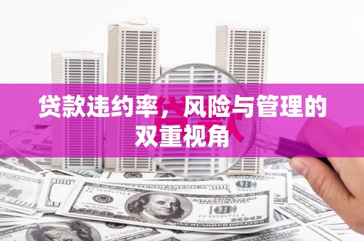 宁明贷款违约率，风险与管理的双重视角