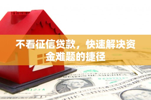 宁明不看征信贷款，快速解决资金难题的捷径