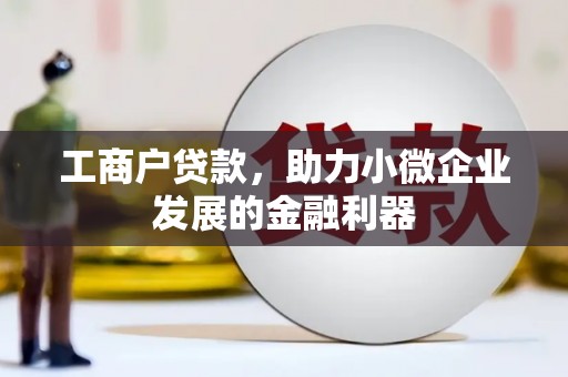 宁明工商户贷款，助力小微企业发展的金融利器