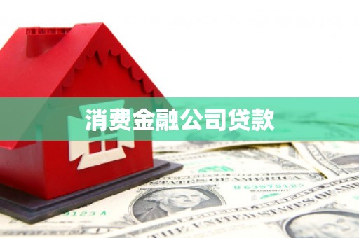 宁明消费金融公司贷款