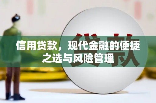 宁明信用贷款，现代金融的便捷之选与风险管理
