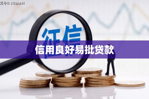 宁明信用良好易批贷款