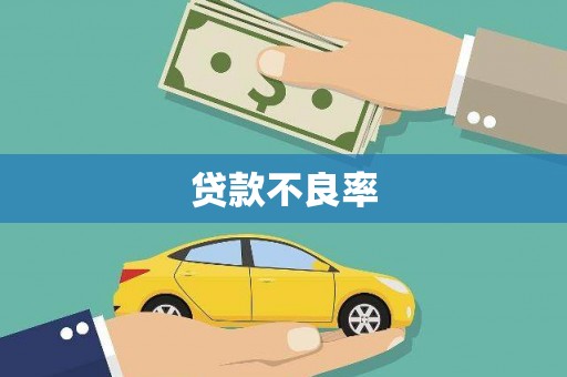 宁明贷款不良率