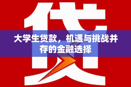 宁明大学生贷款，机遇与挑战并存的金融选择