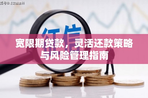 宁明宽限期贷款，灵活还款策略与风险管理指南