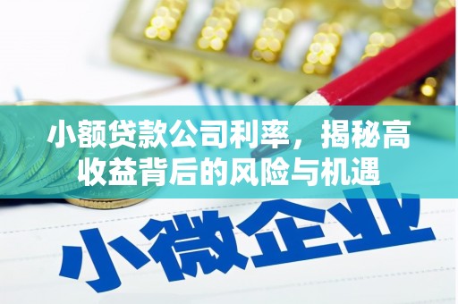 宁明小额贷款公司利率，揭秘高收益背后的风险与机遇