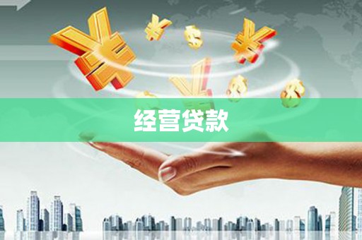 宁明经营贷款
