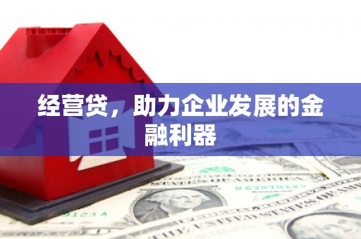 宁明经营贷，助力企业发展的金融利器