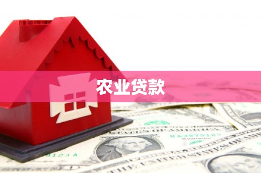 宁明农业贷款