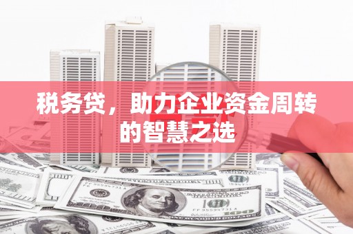 宁明税务贷，助力企业资金周转的智慧之选