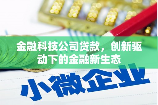宁明金融科技公司贷款，创新驱动下的金融新生态