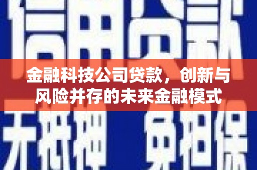 宁明金融科技公司贷款，创新与风险并存的未来金融模式