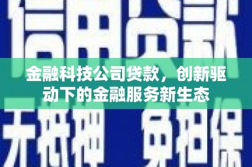 宁明金融科技公司贷款，创新驱动下的金融服务新生态