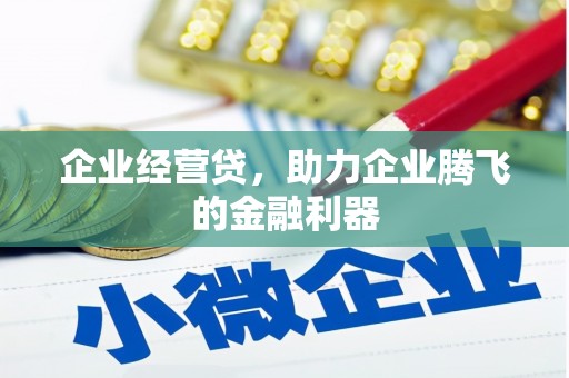 宁明企业经营贷，助力企业腾飞的金融利器