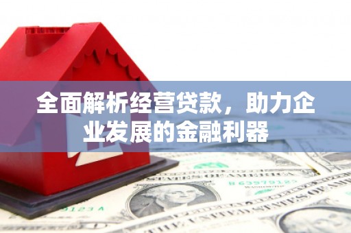 宁明全面解析经营贷款，助力企业发展的金融利器