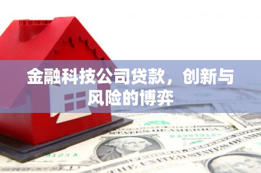 宁明金融科技公司贷款，创新与风险的博弈