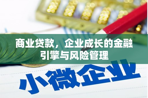 宁明商业贷款，企业成长的金融引擎与风险管理