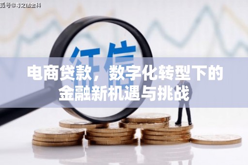 宁明电商贷款，数字化转型下的金融新机遇与挑战