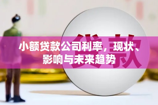 宁明小额贷款公司利率，现状、影响与未来趋势