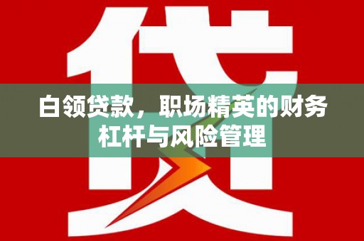 宁明白领贷款，职场精英的财务杠杆与风险管理