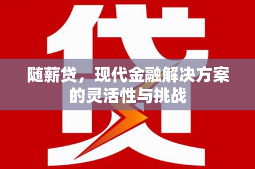 宁明随薪贷，现代金融解决方案的灵活性与挑战