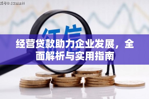 宁明经营贷款助力企业发展，全面解析与实用指南
