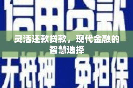 宁明灵活还款贷款，现代金融的智慧选择