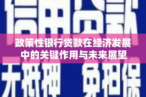 宁明政策性银行贷款在经济发展中的关键作用与未来展望