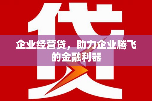 宁明企业经营贷，助力企业腾飞的金融利器