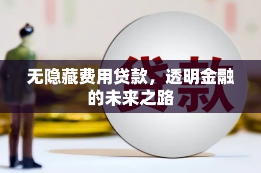 宁明无隐藏费用贷款，透明金融的未来之路