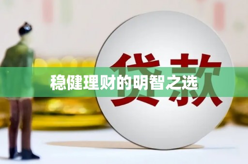 宁明稳健理财的明智之选
