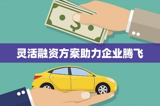 宁明灵活融资方案助力企业腾飞