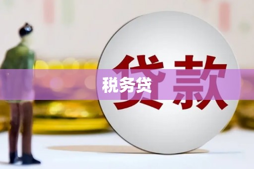 宁明税务贷