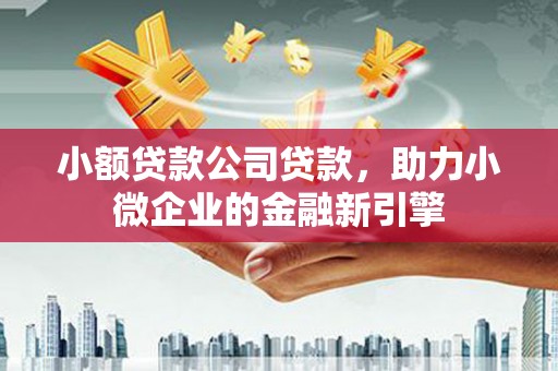 宁明小额贷款公司贷款，助力小微企业的金融新引擎