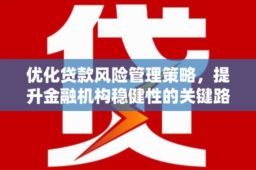 宁明优化贷款风险管理策略，提升金融机构稳健性的关键路径