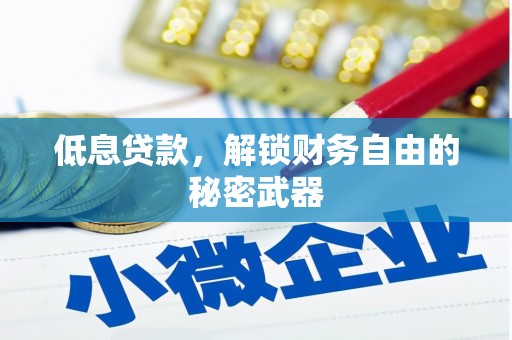 宁明低息贷款，解锁财务自由的秘密武器