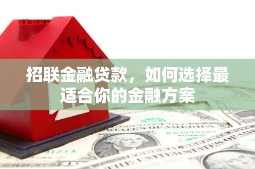 宁明招联金融贷款，如何选择最适合你的金融方案