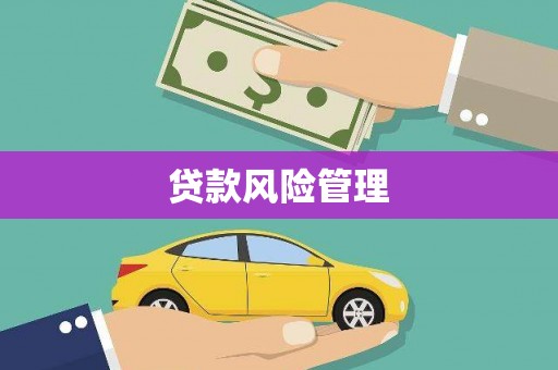 宁明贷款风险管理