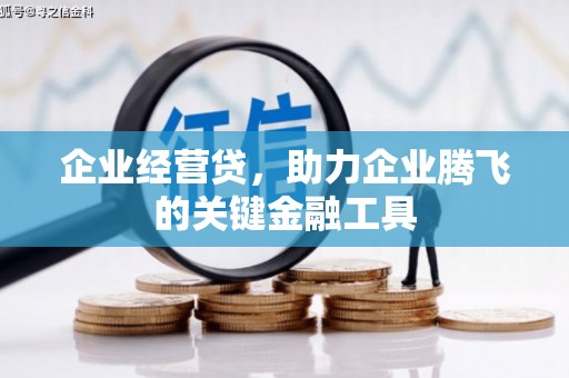 宁明企业经营贷，助力企业腾飞的关键金融工具