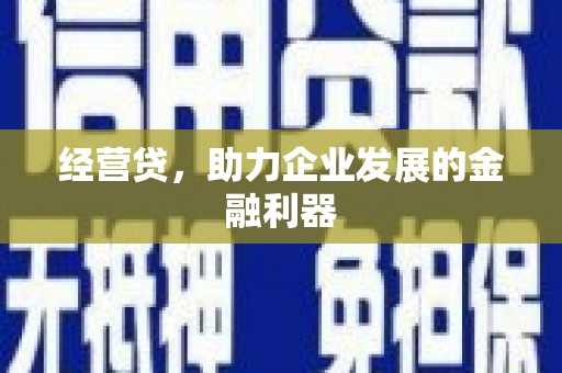 宁明经营贷，助力企业发展的金融利器