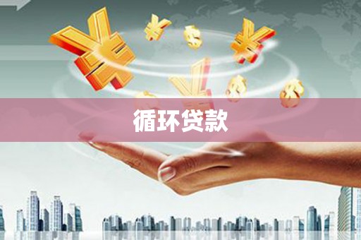 宁明循环贷款